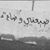 Omar Abdul Raouf's profile image