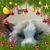 Kylie Renae Webb's profile image