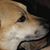 George Slayback's profile image