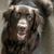 Cindy May's profile image