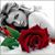 Elizabeth Hurtado's profile image