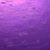 Donna Jones's profile image