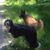 Harley Bailey's profile image