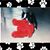 Debra Nesselt Botero's profile image