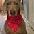 Kathy Brunnhuber Shaw's profile image