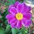 Tara Golladay Dellinger's profile image