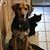Tom M. Turos's profile image