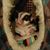 Evie Williams's profile image