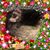 Travis Carter's profile image