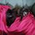 Tammy Sue Kirshman's profile image