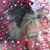 Linda Pelroy's profile image