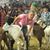Lisa Hoekstra's profile image