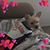 Cynthia N. Serrano- Rivera's profile image