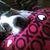 Jenn Laraine Phillips's profile image