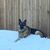 Tanya Hamilton Grinnell's profile image