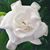 Antonina Herbst's profile image