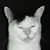 Doug Utz's profile image