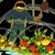 Rôn Kopp's profile image
