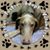 Linda Lee D'Agostino's profile image