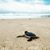 Jennifer Losasso's profile image