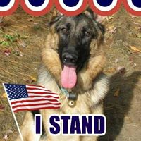 Cindy Blake-Cusson's profile image