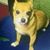 Candi M Grauvogel's profile image