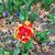 Fran Johnson-Ebert's profile image