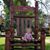 Susan Daugherty's profile image