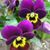 Karen Moore-Krumm's profile image