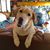 Judy Coleman O'Betts's profile image