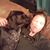 Gretchen Zwerlein's profile image
