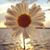 Kim Duckworth Ettinger's profile image