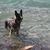 Audrey Wiens's profile image