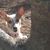 Mona Watson's profile image