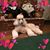 Bonnie Van Maanen's profile image