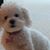 Tina Lopez's profile image
