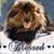 Frances Bell's profile image