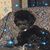 Michael Riley's profile image
