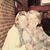 Sara Kruse's profile image