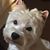 Cindie Lee's profile image