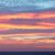 Pam Nurmi's profile image