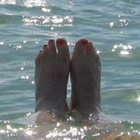 Sharon Swan's profile image