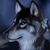 Jenny Garcia's profile image
