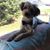 Tina Gehrke's profile image