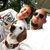 Jeremy Geer's profile image