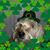 Tammy Hart's profile image
