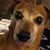 Renee Martin's profile image