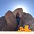 Donna Nelson's profile image