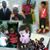 Masimba Katsande's profile image