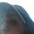 William Paiva's profile image